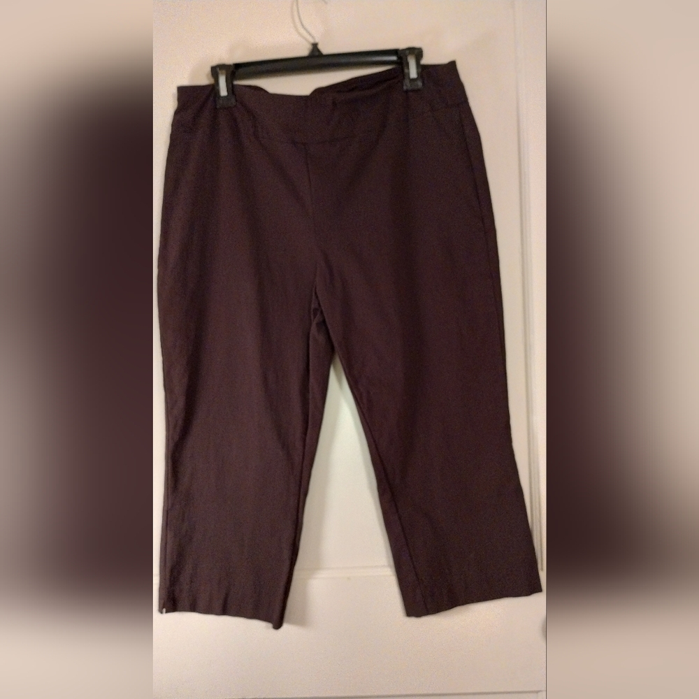 Wonens Large One World Live And Let Live Chocolate Brown Pull On Crop Pants